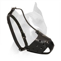 All Inclusive In This Super Leather Muzzle