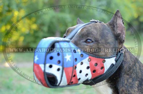 American Pride Painted Leather Amstaff Harness for Effective Protection Training