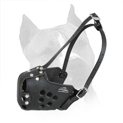 Leather Muzzle for Amstaff with Durable 2 Ways Adjustable Straps