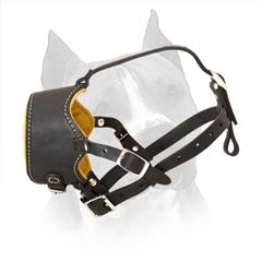 Easy In Use Nappa Padded Amstaff Dog Muzzle With  Adjustable Straps