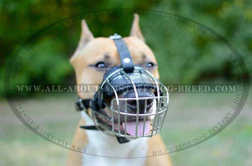 Extra-Strong Wire Basket Amstaff Dog Muzzle For Training