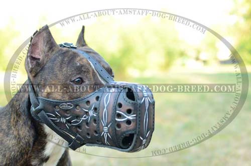 Super Leather Amstaff Dog Muzzle For Attack Training