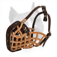 Modernized Basket Muzzle For Training of Amstaff Dog  Breed