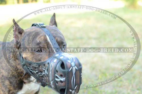Easy In Use Handmade Leather Amstaff Dog Muzzle For Your  Lovely Pet