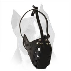 Tired Of The Same Old Story With Dog Chewing? Change It. Buy This Muzzle.