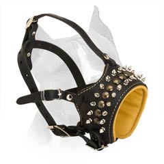 Say Goodbye To Unfashionable Muzzles. Spikes Leather Muzzle Is Here.