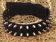 Black Nylon Spike Dog Collar- 2 Rows of spikes