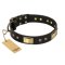 "Black Sun" FDT Artisan Leather Amstaff Collar with Brass Plated Decorations