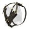 Exclusive Soft Padded Amstaff Leather Dog Harness