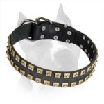 Leather 'Caterpillar' Amstaff Collar with Brass Square Studs