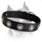 American Staffordshire Terrier Nylon Dog Collar With Silver Conchos
