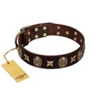 "Captain Hook" FDT Artisan Brown Leather Amstaff Collar with Stars and Skulls