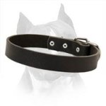 Strong Easily Adjustable Amstaff Dog Leather Collar