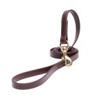 Brown Waterproof Amstaff Leash Made of Biothane