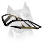 Dog Weight Pulling Harness For American Staffordshire Terrier