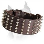 3 inch Spiked and Studded Dog Collar For American Staffordshire Terrier