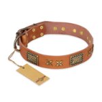 "Cosmic Traveller" FDT Artisan Adorned Leather Amstaff Collar with Old Bronze-Plated Stars and Plates