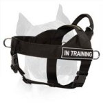 Nylon Dog Harness With Identification Patches For Amstaff Dog Breed