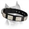 Nylon Dog Collar With Vintage Plates For Amstaff Dog Breed