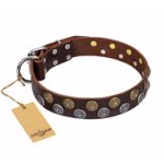 "Strong Shields" FDT Artisan leather Amstaff collar with stylish decorations
