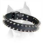 Amstaff Breed Leather 2 Rows Spiked Dog Collar
