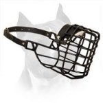Amstaff Wire Dog Muzzle For Winter Season With Black Rubber Cover