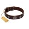"Flashy Woof" FDT Artisan Brown Leather Amstaff Collar with Chrome Plated Brooches