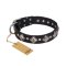 "Silver Charm" FDT Artisan Leather Amstaff Collar with Silvery-Plated Large Square Studs