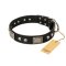 "Pirates Gold" FDT Artisan Black Leather Amstaff Collar with Old Silver Look Plates and Skulls