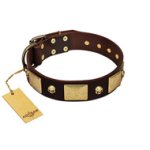 "Heavy Metal" FDT Artisan Brown Leather Amstaff Collar with Old Bronze-like Skulls and Plates