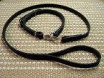 Police / hunting" dog leash and collar (combo)