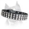 Beautiful Silver Pyramids Leather Dog Collar For Amstaff Dog Breed