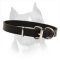 Leather Field Dog Collar for Amstaff