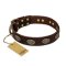 "Chocolate kiss" FDT Artisan Leather Amstaff Collar with Old Bronze Look Oval Plates