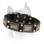 Amstaff Leather Collar with Nickel Pyramids and Massive Plates