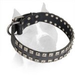 2 Rows Studded Leather Amstaff Collar