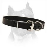 Leather Field Dog Collar for Amstaff