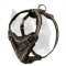 Barbed Wire American Staffordshire Terrier Dog Harness