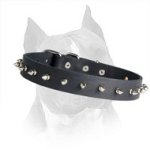 Leather Spiked Amstaff Dog Collar
