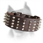 2 inch Leather Spiked and Studded Amstaff Dog Collar