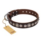"Step and Sparkle" FDT Artisan Glamorous Studded Brown Leather Amstaff Collar