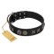 "Century Silver" Designer Handmade FDT Artisan Black Leather Amstaff Collar
