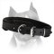 Wide Training Amstaff Dog Collar With Soft Padding