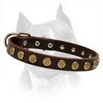 Gorgeous Leather Dog Collar With Dotted Circles For Amstaff Dog Breed