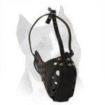 All In All Training Leather Dog Muzzle For Winners