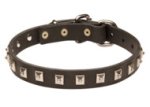 Beneficial Amstaff Leather Dog Collar with Studs