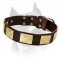 Wonderful Leather Dog Collar With Vintage Brass Plates For Amstaff