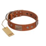 "Great Obelisk" Handcrafted FDT Artisan Tan Leather Amstaff Collar with Large Plates and Pyramids