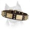 Shining Leather Amstaff Dog Collar With Spikes And Plates