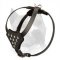 Amstaff Puppy Leather Harness with Nickel Half Ball Studs